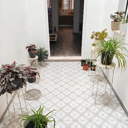 Bed & Breakfast Privada En Alojamiento Diferente Y Con Calidad En El Centro De Alicante! Alicante
